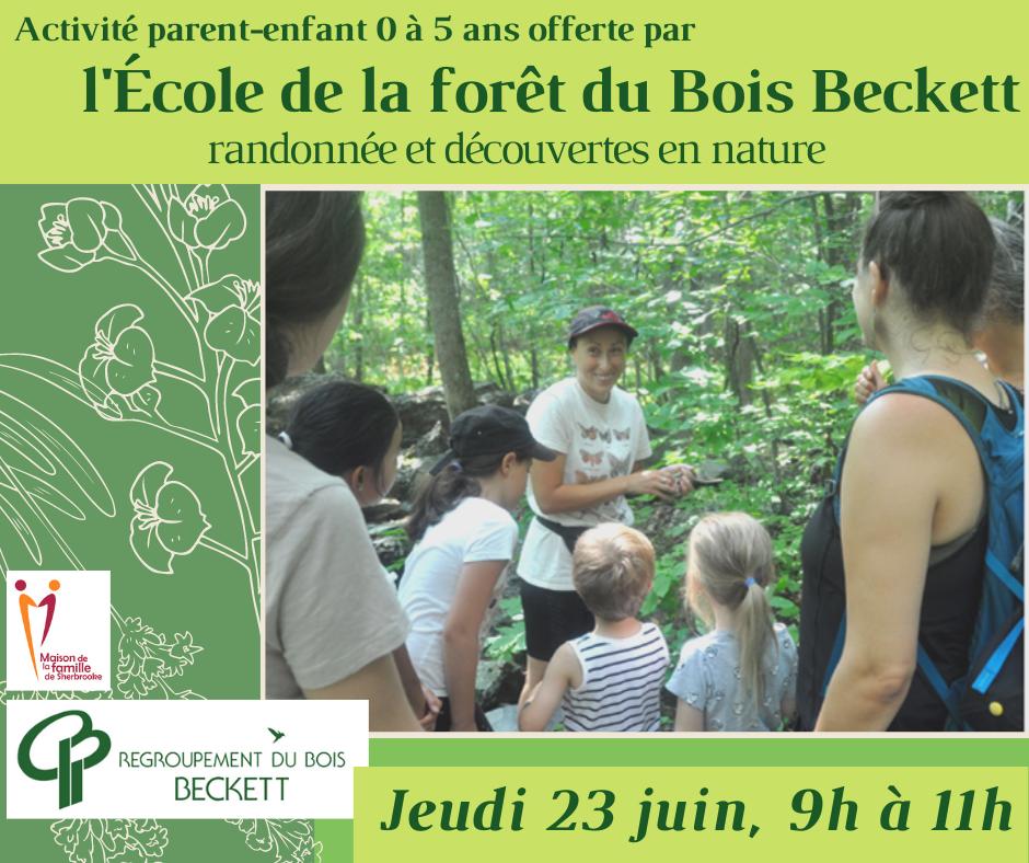 Activité École de la forêt 23 juin 2022