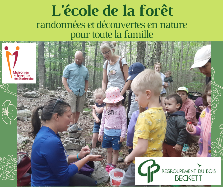 Affiche École Forêt MFS