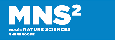 logo msn2
